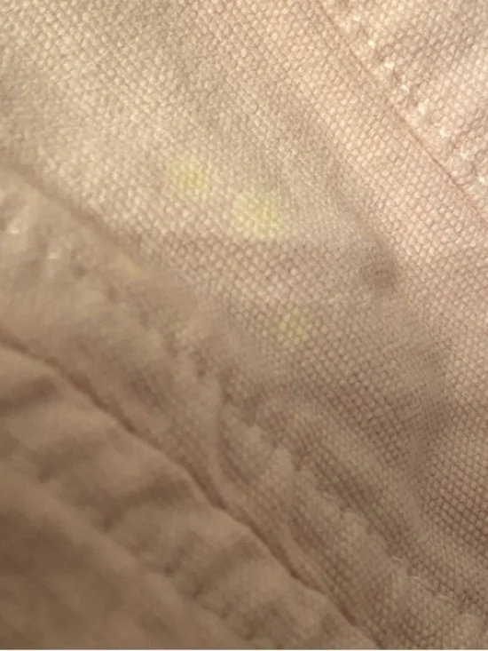 Roberto Cavalli light pink Mini Skirt with Gold Tassel crystal logo size S - Picture 5 of 8